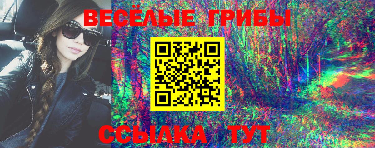 купить наркоту  Псилоцибиновые грибы Psilocybine cubensis  Вход с VPN  Долгопрудный  Галлюциногенные грибы мухоморы 